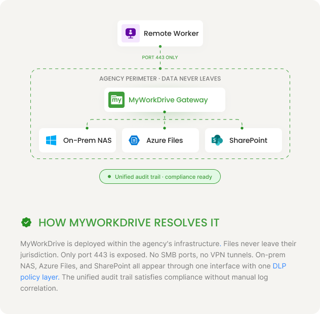 Government — How MyWorkDrive Resolves It